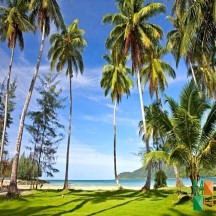 Tranh dán tường cho phòng khách đẹp tại Hà Nội NA - 267